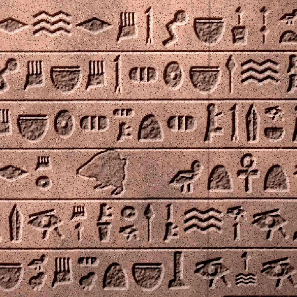 The creature carved into a sandstone wall among hieroglyphs