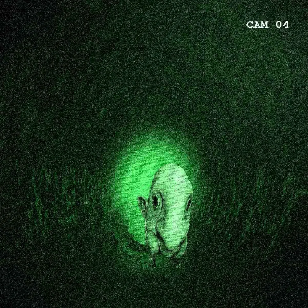 Night-vision security camera footage of the creature standing in a cave