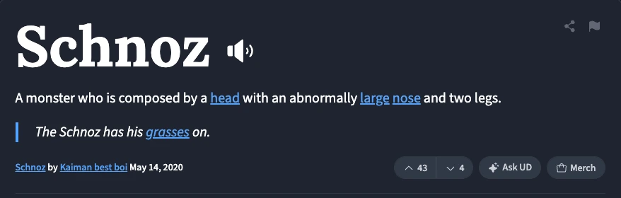 The Urban Dictionary entry for Schnoz, submitted 14 May 2020 by Kaiman best boi, 43 up and 4 down